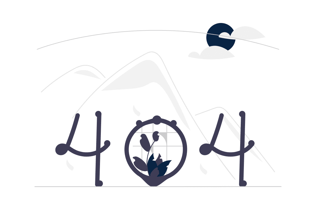 404 image